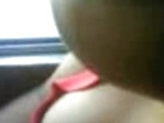 Great tits on the bus