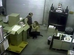Warehouse Workers Sex Woman
