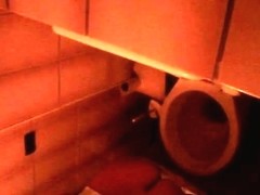 A great voyeur video of a chick pissing in a public bathroom