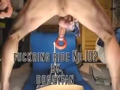 No 102 doggyride showing aperture