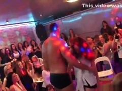 Frisky kittens get fully wild and naked at hardcore party