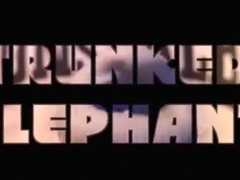Trunk Elephant XXL Sex Tool