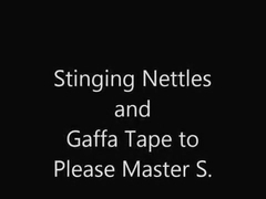 Nettles for Taskmaster S
