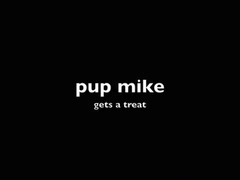 pup mike acquires a treat